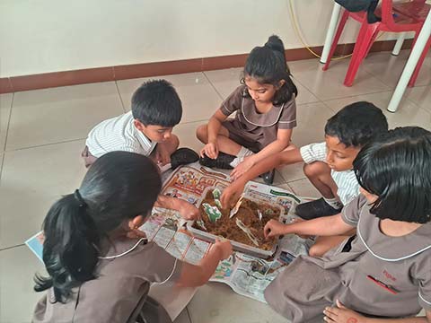 Kindergarten 1 EVS Term 2 - 7