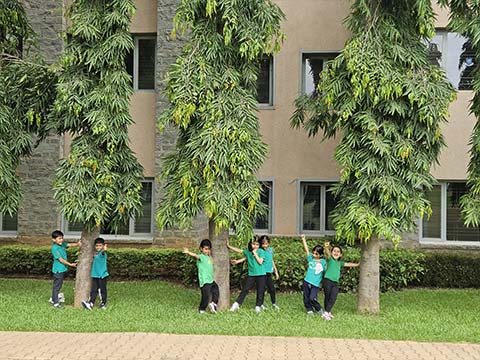 Montessori Field Trip – TISB - 6