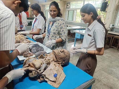 Visit to St. John's Medical College - 1